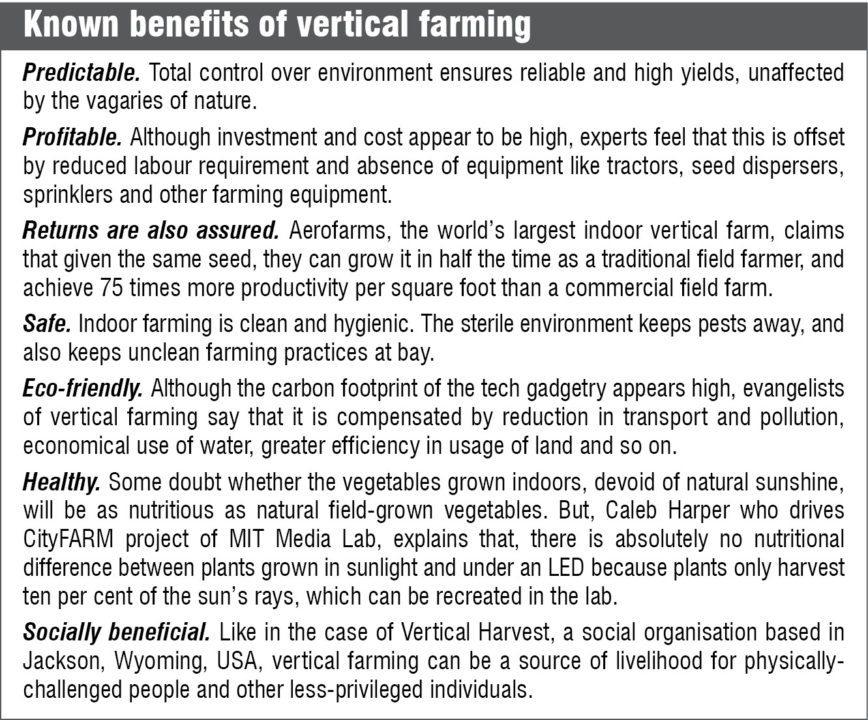 Vertical farming business plan