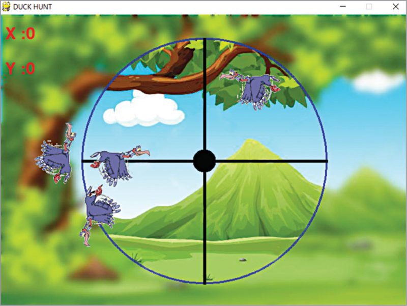 Screenshot of the duck hunt game