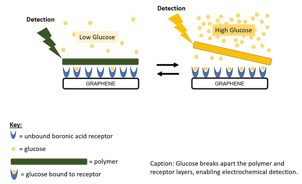 Sensor Based On Graphene For Measuring Blood Glucose Levels