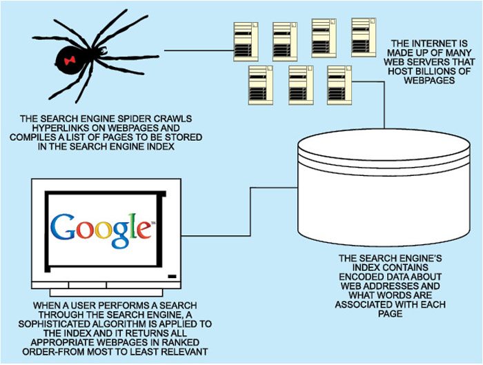 Search Engine Spiders: O que significa, para que serve e como funciona?