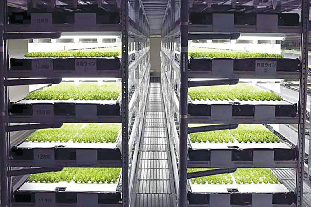 For A Successful Vertical Farming Technology Business Put Farming First