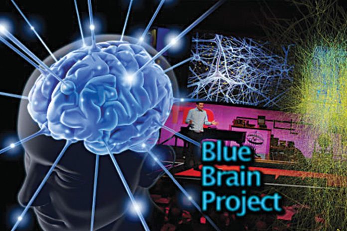 literature review of blue brain