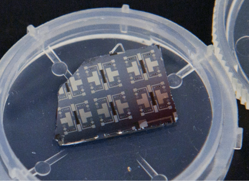 Several Prototypes of Synaptic Transistor can be seen on this Silicon Chip. Image: Eliza Grinnell, SEAS Communications