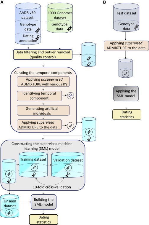 Date Archaeological Specimens Using Artificial Intelligence