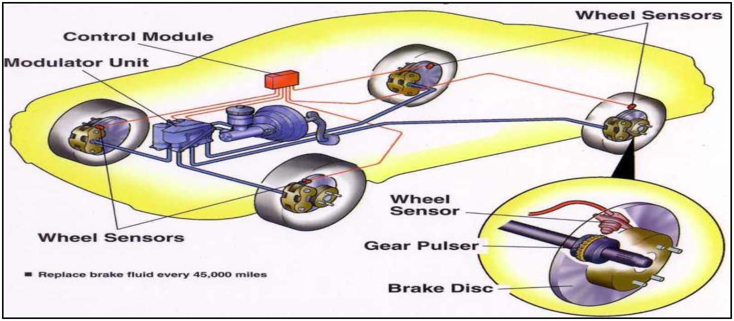 Safety Drives These Automobiles – In India