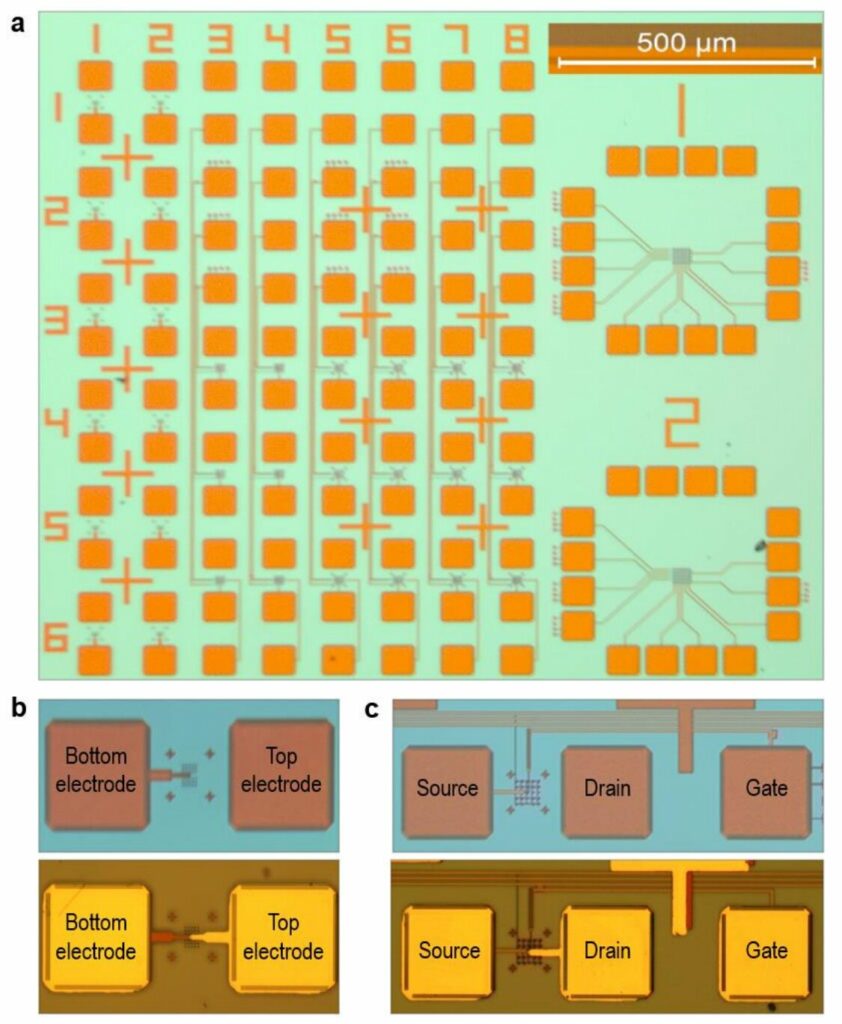 integrating-2d-materials-into-microchips-for-advanced-computation