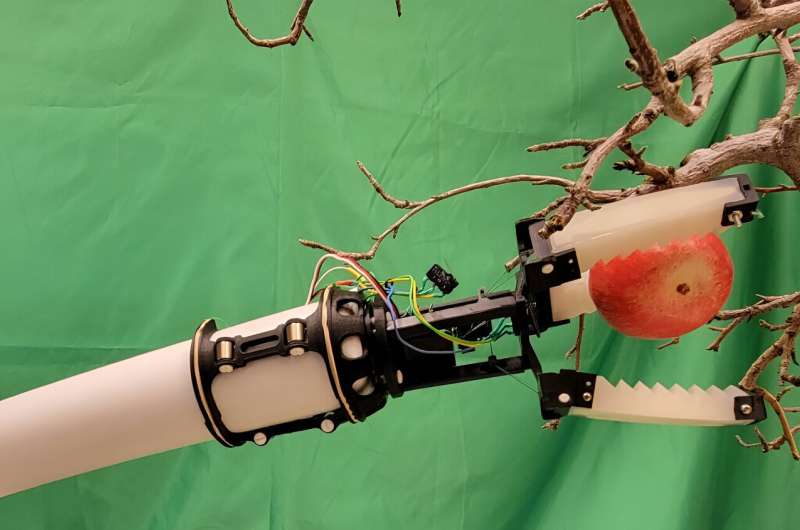 Robotic Gripper To Help With Apple Picking