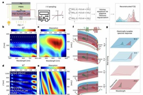 Schematic of the microsized optical spectrometer. Credit: Nature Electronics (2024). DOI: 10.1038/s41928-024-01199-9