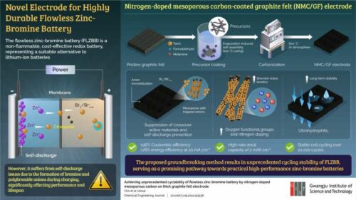 The novel electrodes effectively suppress the crossover of bromine and bromine complexes, thus preventing self-discharge and enhancing the electrochemical performance and cycling stability of flowless zinc-bromine batteries. Credit: Chanho Pak from Gwangju Institute of Science and Technology