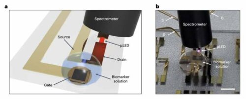 Schematic illustration of electrical and optical characterization set-up. B) Photograph of electrical and optical characterization set-up. Scale bar, 3 mm. Credit: Nature Electronics (2024). DOI: 10.1038/s41928-024-01237-6