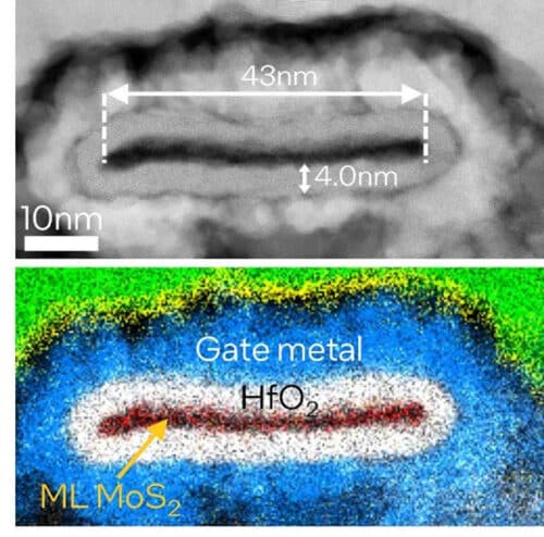 The images above are TEM characterizations of the record GAA NMOS device across the gate, showing a healthy, conformal GAA architecture with 43nm-wide monolayer MoS2 channel and conformal HfO2 with a thickness of ~4.0nm.