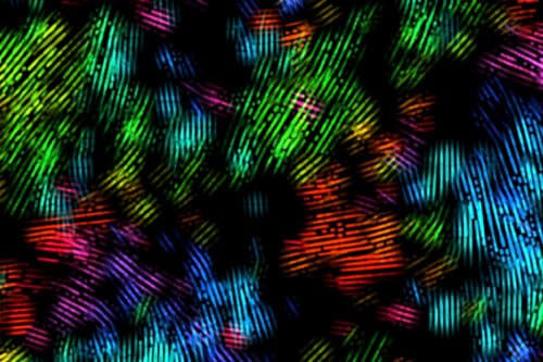 Representative map visualizes the direction of polymer chains in edge-on crystallites. | Salleo Research Group