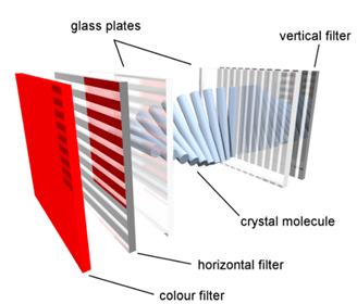 Detailed Structure of Liquid Crystal Display (LCD)