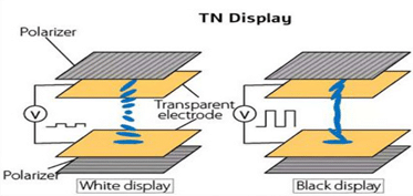 Twisted Nematic LCD