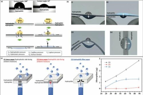 Advanced moisture capture through hydrophobic–hydrophilic Janus Paper. Credit: Small (2024). DOI: 10.1002/smll.202408182