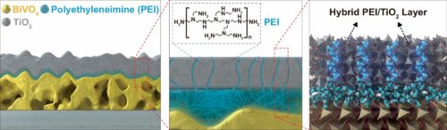 Configuration of interfacial PEI and hybrid PEI/TiO2 layer. Credit: Nature Communications (2024). DOI: 10.1038/s41467-024-53754-9