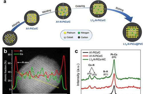 Credit: Journal of the American Chemical Society (2024). DOI: 10.1021/jacs.4c09514