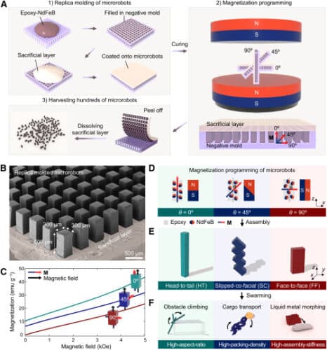  Mass production of magnetically anisotropic microrobots for multifunctional swarm intelligence