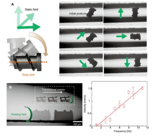 Locomotion characterization of the microrobots under static and rotating fields. (a) Controlled orientation of magnetic microrobots under the static field. (b) The motion velocity changes with the field frequency.