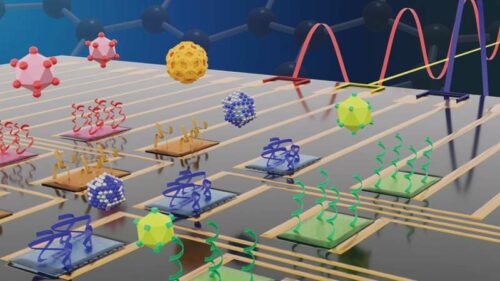 Site-selective immobilization of different bioreceptors on individual field-effect transistors, achieved through the use of thermal scanning probe lithography. Each bioreceptor can be tuned to detect a different disease. Credit: NYU Tandon School of Engineering