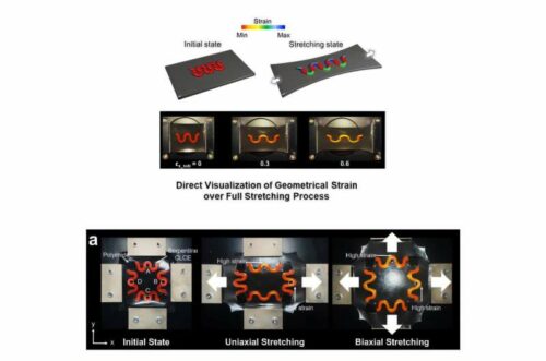 Color-coded visualization of Serpentine structure stretching when manually pulled. Credit: POSTECH