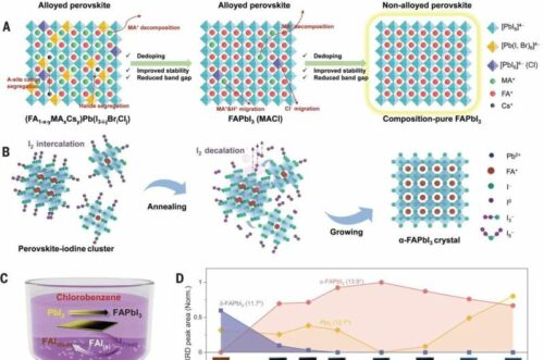 Design principle and proof of concept for iodine-mediated formation of nonalloyed α-FAPbI3. Credit: Science (2025). DOI: 10.1126/science.ads8968